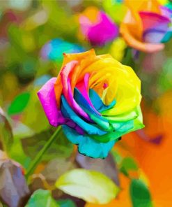 Rainbow Rose Paint By Numbers