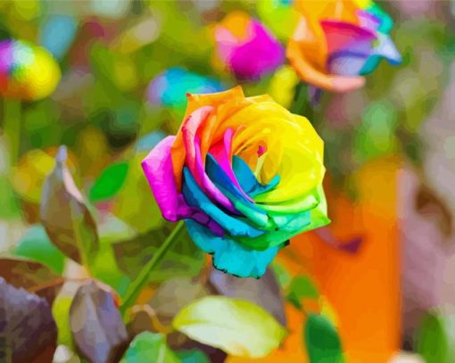 Rainbow Rose Paint By Numbers