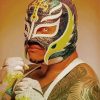 Rey Mysterio Professional Wrestler Paint By Numbers