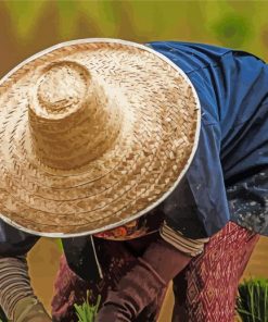 Rice Hat Paint By Numbers