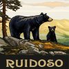 Ruidoso New Mexico Poster Paint By Numbers