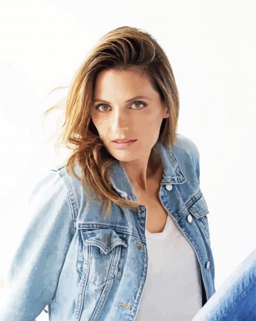 Stana Katic Paint By Numbers