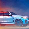 The BMW X5 Car Paint By Numbers