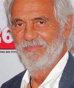 Tommy Chong Actor Paint By Numbers