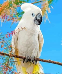 Umbrella Cockatoo On Stick Paint By Numbers