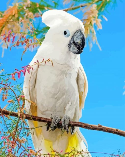 Umbrella Cockatoo On Stick Paint By Numbers