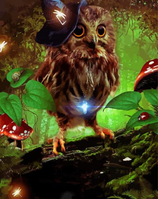 Witch Owl Bird Paint By Numbers