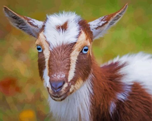 Adorable Nigerian Dwarf Goat Paint By Numbers