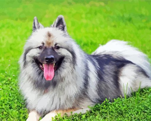 Adorable Keeshond Puppy Paint By Numbers