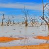 Aesthetic Menindee Paint By Numbers