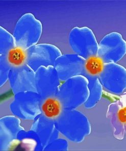 Beautiful Forget Me Nots Flowers Paint By Numbers