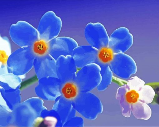 Beautiful Forget Me Nots Flowers Paint By Numbers