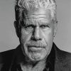 Black And White Ron Perlman Paint By Numbers