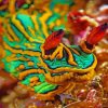 Close Up Sea Slug Paint By Numbers