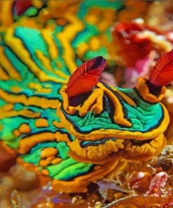 Close Up Sea Slug Paint By Numbers