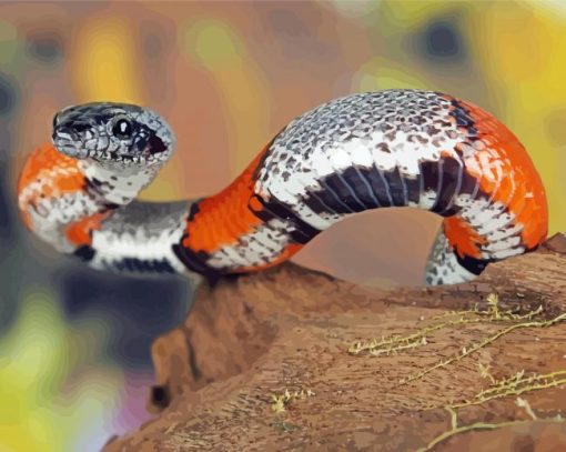 Colorful Rattlesnake Paint By Numbers