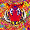 Colorful Abstract Tiger Paint By Numbers