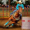 Colorful Barrel racing Paint By Numbers