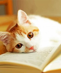 Cute Cats And Books Paint By Numbers