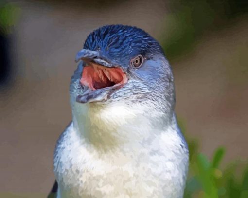 Fairy Penguin Bird Paint By Numbers