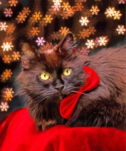 Fluffy Black Cat With Red Bow Tie Paint By Numbers