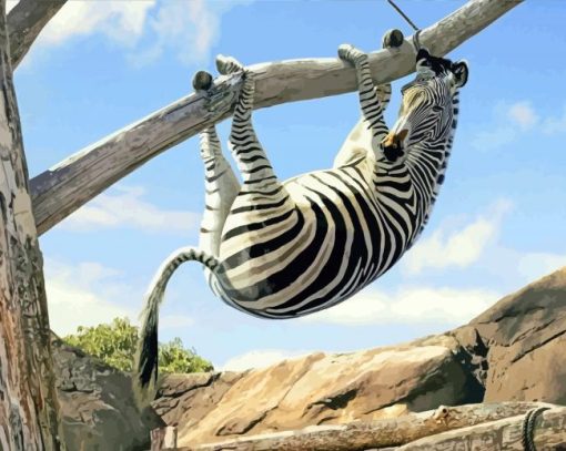 Funny Black And White Zebra Paint By Numbers