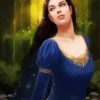 Gorgeous Arwen Lord Of The Rings Paint By Numbers