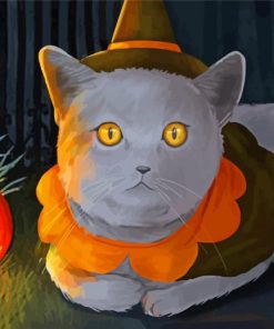 Grey Cat Witch Paint By Numbers