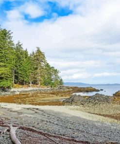 Haida Gwaii Forest In Canada Paint By Numbers