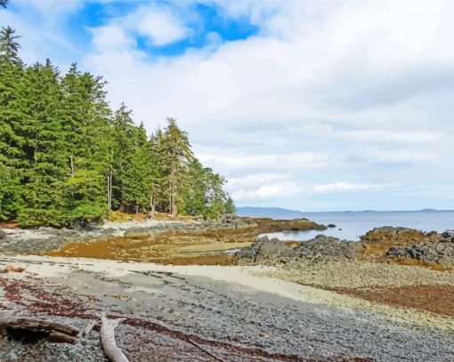Haida Gwaii Forest In Canada Paint By Numbers