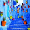 Hanging Plants In Chefchaouen Street Paint By Numbers