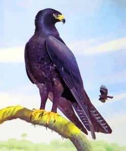 Indian Black Eagle Art Paint By Numbers