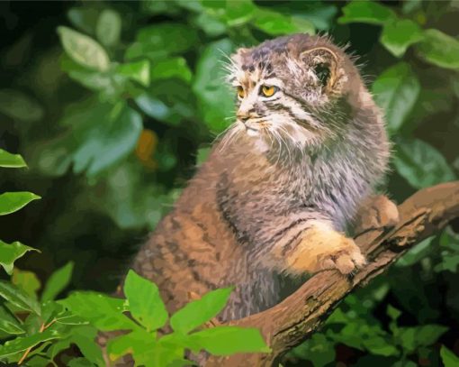 Manul Cat On Branch Paint By Numbers