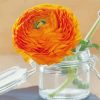 Orange Flowers Mason Jar Paint By Numbers