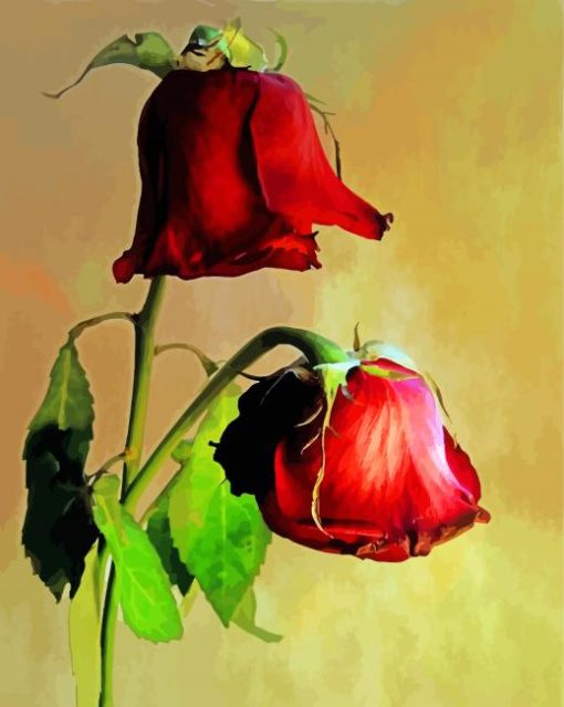 Red Dying Rose Paint By Numbers