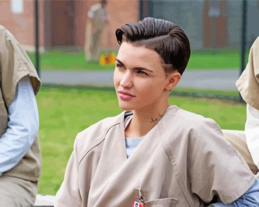 Ruby Rose In Orange Is The New Black Movie Paint By Numbers