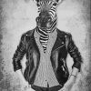 Stylish Mr Zebra Paint By Numbers