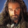 Thorin Scudodiquercia Paint By Numbers