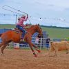 White Calf Roping Paint By Numbers