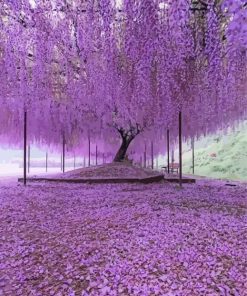 Wonderful French Wisteria Paint By Numbers