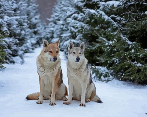 Wolves In The Snow Paint By Numbers