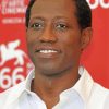 American Actor Wesley Snipes Paint By Numbers