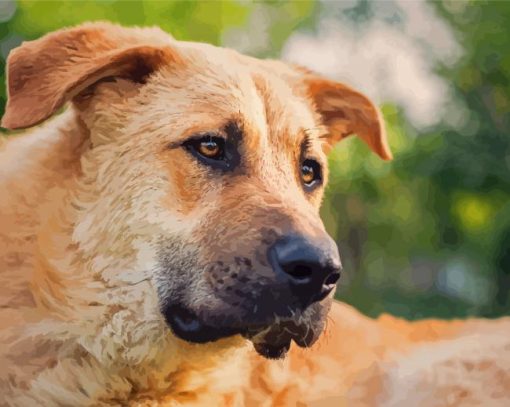 Anatolian Shepherd Dog Paint By Numbers