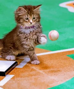 Baseball Cat Paint By Numbers