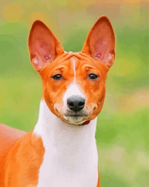 Basenji Dog Animal Paint By Numbers