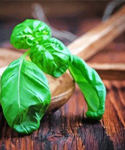 Basil Leaves On Wooden Spoon Paint By Numbers