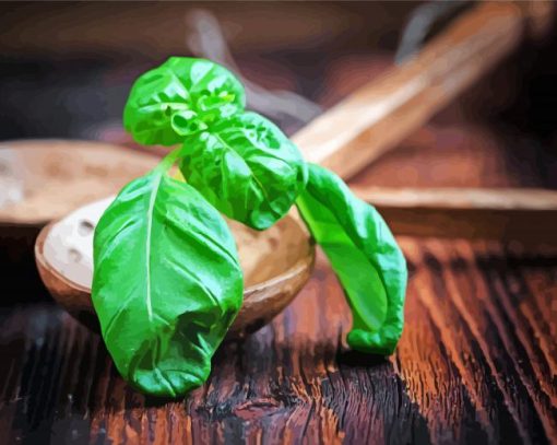 Basil Leaves On Wooden Spoon Paint By Numbers