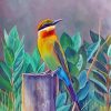 Bee Eater Paint By Numbers