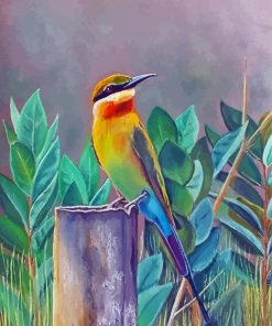 Bee Eater Paint By Numbers