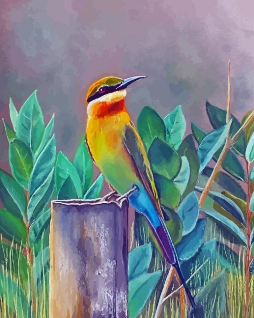 Bee Eater Paint By Numbers